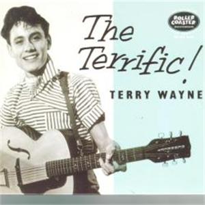 THE TERRIFIC - TERRY WAYNE - BRITISH R'N'R CDs, ROLLERCOASTER