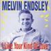 I LIKE YOUR KIND OF LOVE - MELVIN ENDSLEY