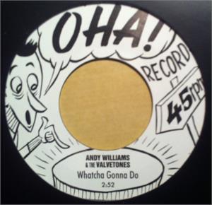 Watcha Gonna Do (single sided) - Andy Williams & The Valvetones - Modern 45's VINYL, OHA
