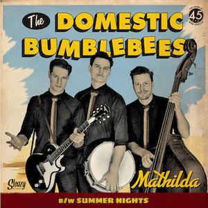 1, MATHILDA 2,SUMMER NIGHTS - DOMESTIC BUMBLEBEES - Sleazy VINYL, SLEAZY