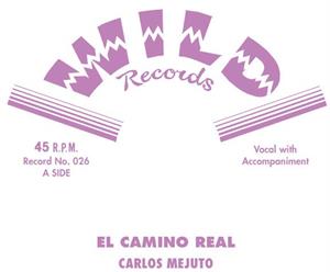 EL CAMINO REAL : Waterboy - Carlos Mejuto - WILD VINYL, WILD