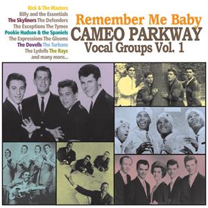 CAMEO PARKWAY VOCAL GROUPS VOL 1 - VARIOUS ARTISTS - DOOWOP CD, ACE