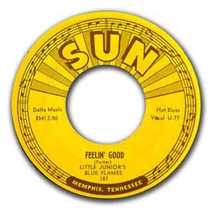 FEELIN' GOOD:FUSSIN N FIGHTIN' BLUES - LITTLE JUNIOR BLUE FLAMES - Sun VINYL, SUN