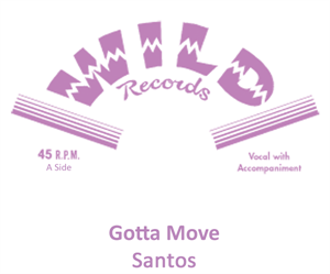 GOTTA MOVE - SANTOS - WILD VINYL, WILD