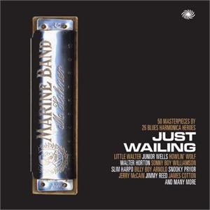 JUST WAILING (2 CDS) - VARIOUS ARTISTS - 50's Rhythm 'n' Blues CD, FANTASTIC VOYAGE