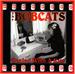 SEALED WITH A KISS - BOBCATS